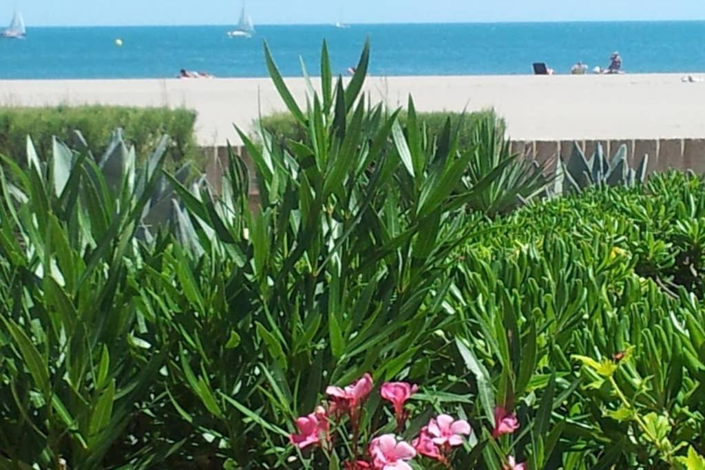 Cros Mer Et Piscine Saint-Pierre-la-Mer  ภายนอก รูปภาพ